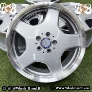 AMG MONOBLOCK (W220)